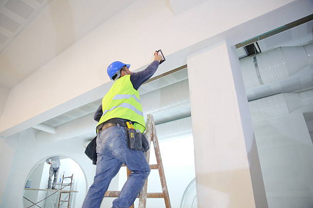 Professional Mold Removal in Wallenpaupack Lake Estates, PA